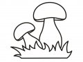 Раскраска грибы