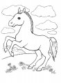Раскраска лошадка